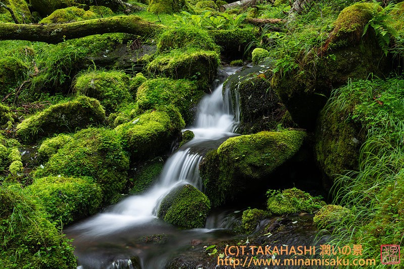 ../Images/7R250810 (3).jpg